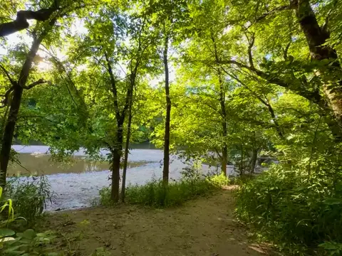 Sun-drenched path leads to nature's tranquil waters.